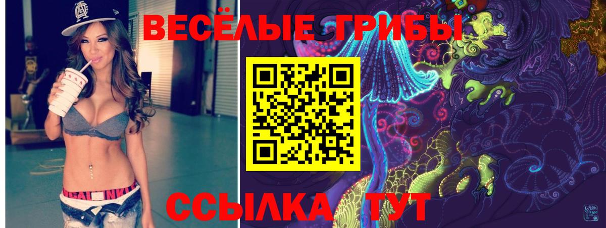 Псилоцибиновые грибы Psilocybine cubensis Шелехов